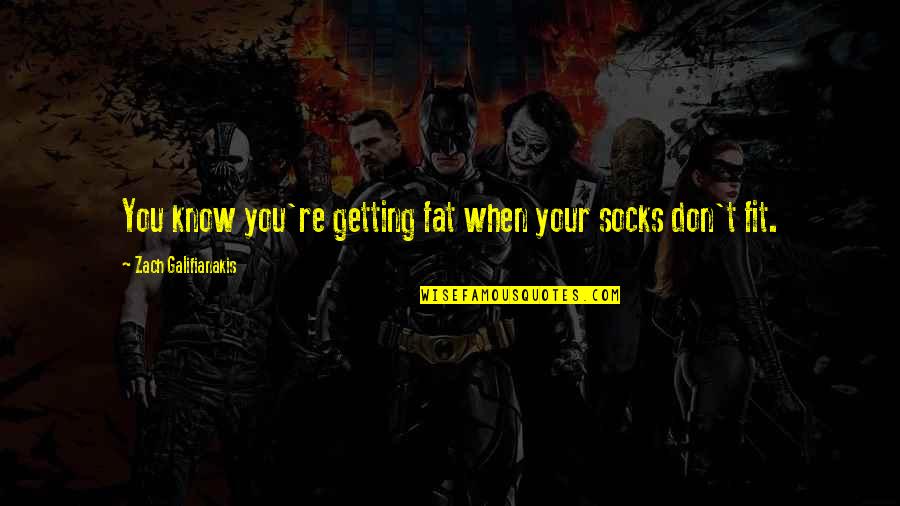 Zach Galifianakis Quotes By Zach Galifianakis: You know you're getting fat when your socks