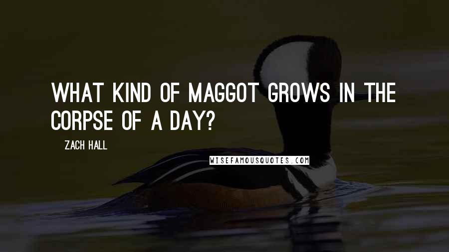Zach Hall quotes: What kind of maggot grows in the corpse of a day?