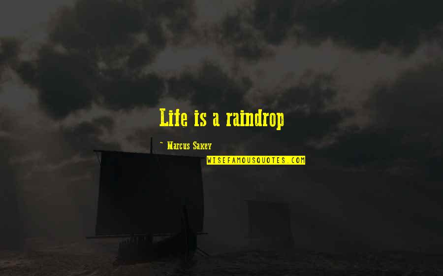 Zach Weiner Quotes By Marcus Sakey: Life is a raindrop