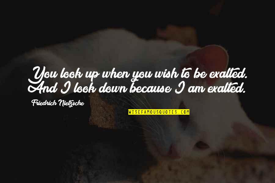 Zachary Zatara Quotes By Friedrich Nietzsche: You look up when you wish to be Zachary Zatara Quotes By Friedrich Nietzsche: You look up when you wish to be