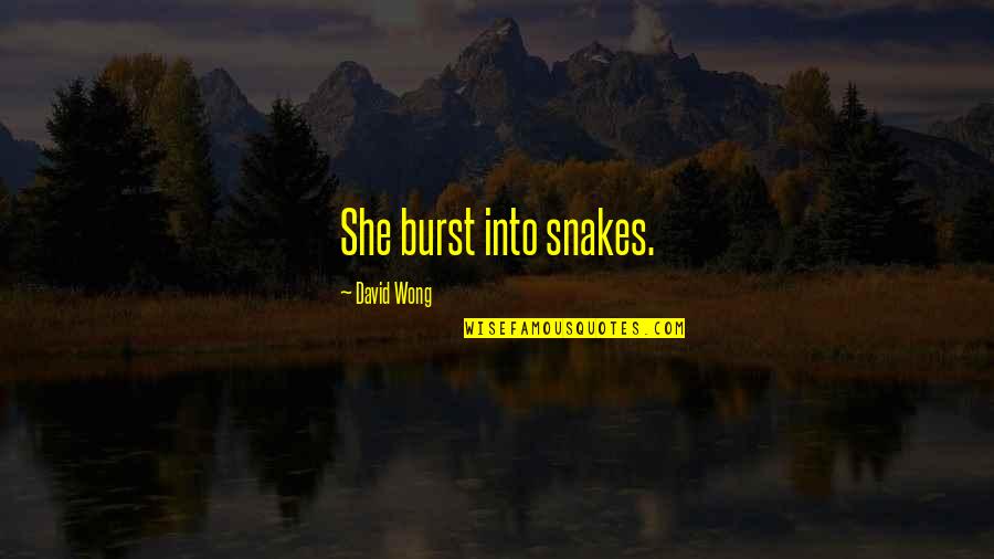 Zachman Framework Quotes By David Wong: She burst into snakes. Zachman Framework Quotes By David Wong: She burst into snakes.