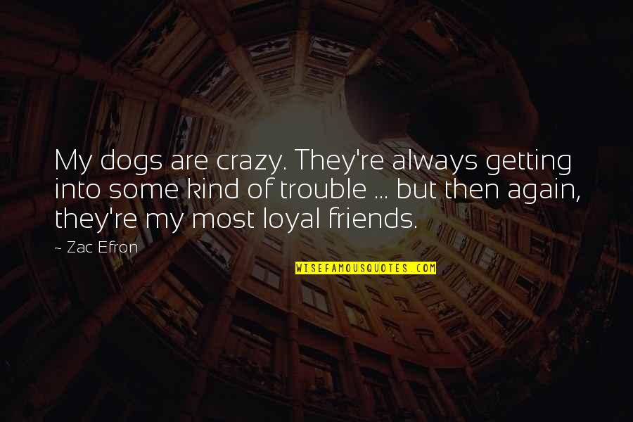 Zac's Quotes By Zac Efron: My dogs are crazy. They're always getting into