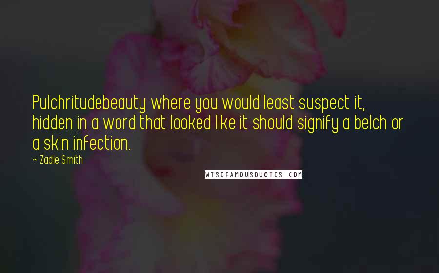 Zadie Smith quotes: Pulchritudebeauty where you would least suspect it, hidden in a word that looked like it should signify a belch or a skin infection.