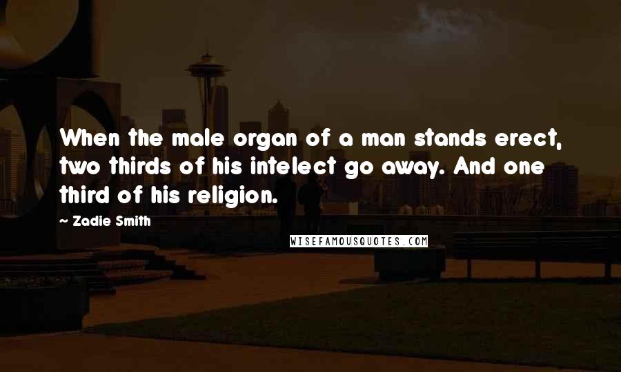 Zadie Smith quotes: When the male organ of a man stands erect, two thirds of his intelect go away. And one third of his religion.