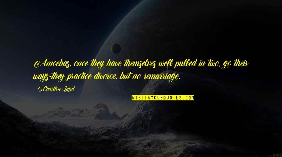 Zadovoljstvo Studijem Quotes By Charlton Laird: Amoebas, once they have themselves well pulled in Zadovoljstvo Studijem Quotes By Charlton Laird: Amoebas, once they have themselves well pulled in