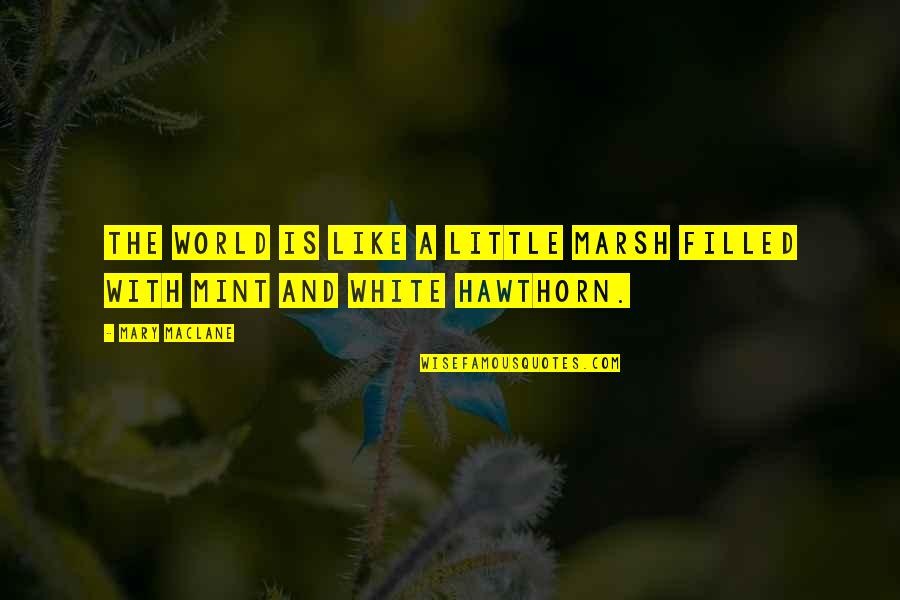 Zaffaroni Malai Quotes By Mary MacLane: The world is like a little marsh filled