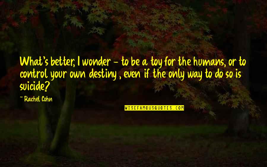 Zagadkowa20 Quotes By Rachel Cohn: What's better, I wonder - to be a Zagadkowa20 Quotes By Rachel Cohn: What's better, I wonder - to be a