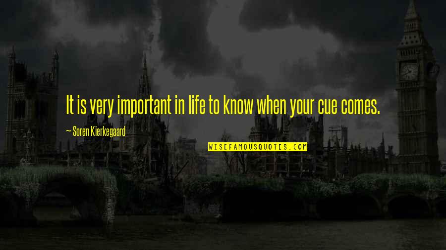 Zaid's Quotes By Soren Kierkegaard: It is very important in life to know