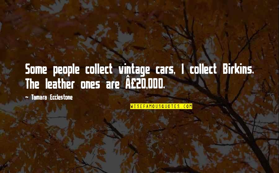 Zailee Zainal Quotes By Tamara Ecclestone: Some people collect vintage cars, I collect Birkins. Zailee Zainal Quotes By Tamara Ecclestone: Some people collect vintage cars, I collect Birkins.