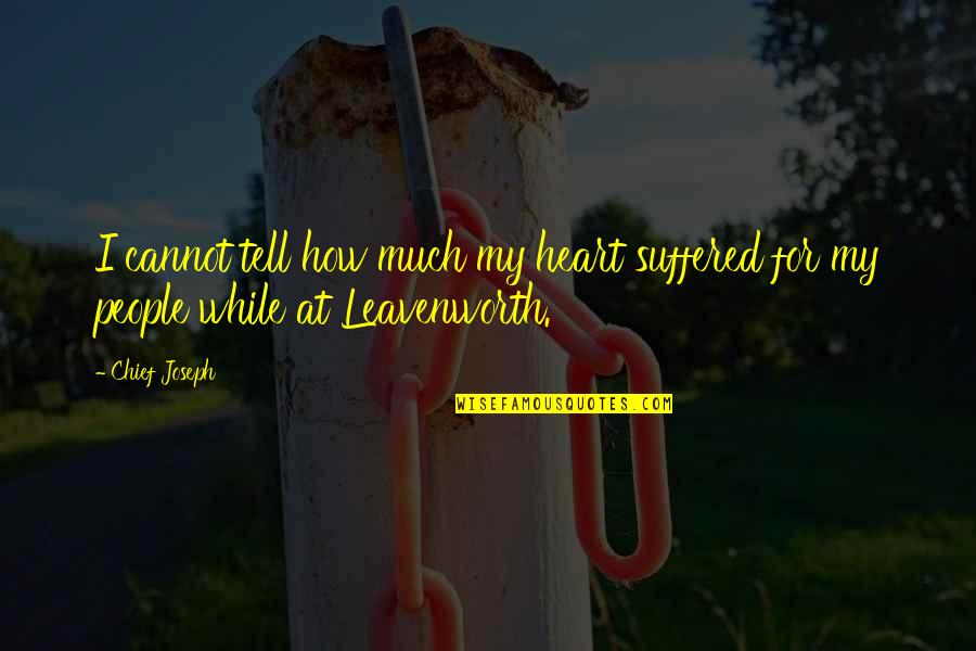 Zakeri Associates Quotes By Chief Joseph: I cannot tell how much my heart suffered