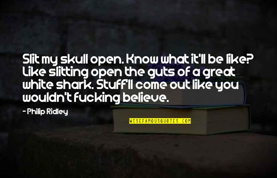 Zaldarriaga Quotes By Philip Ridley: Slit my skull open. Know what it'll be Zaldarriaga Quotes By Philip Ridley: Slit my skull open. Know what it'll be