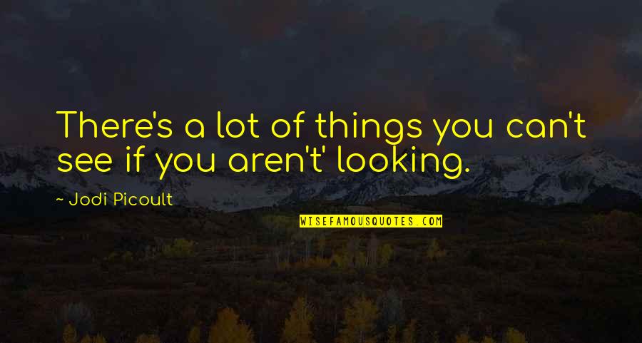 Zalijevanje Quotes By Jodi Picoult: There's a lot of things you can't see