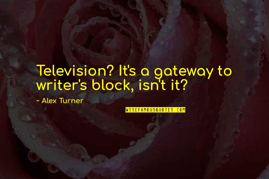 Zalinsky Quotes By Alex Turner: Television? It's a gateway to writer's block, isn't