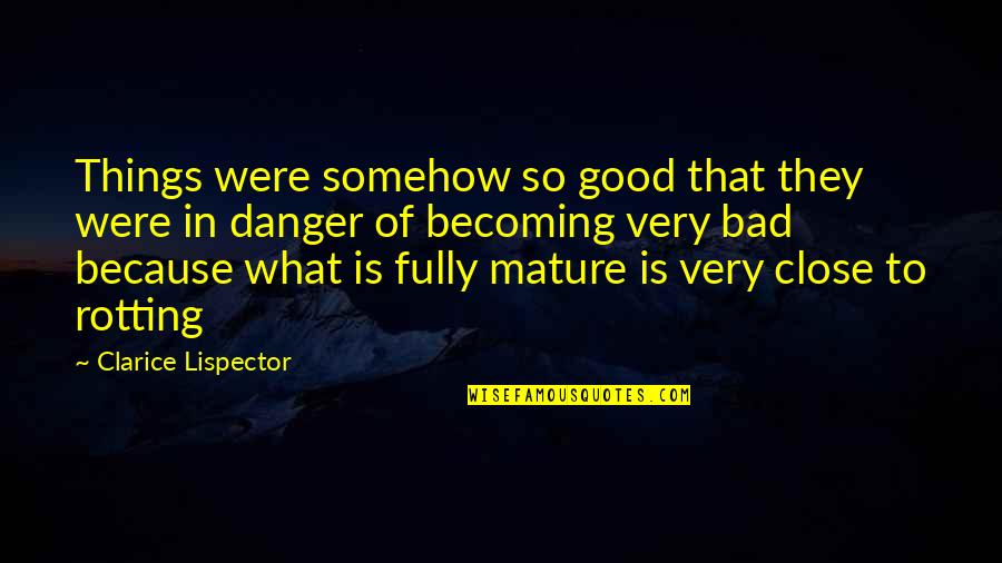 Zalmai Araa Quotes By Clarice Lispector: Things were somehow so good that they were