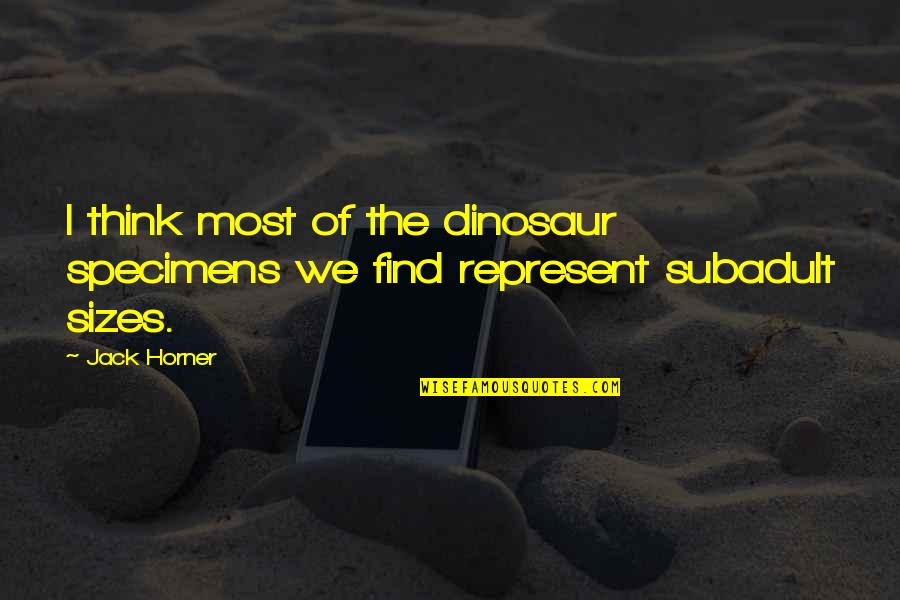 Zamanism Quotes By Jack Horner: I think most of the dinosaur specimens we