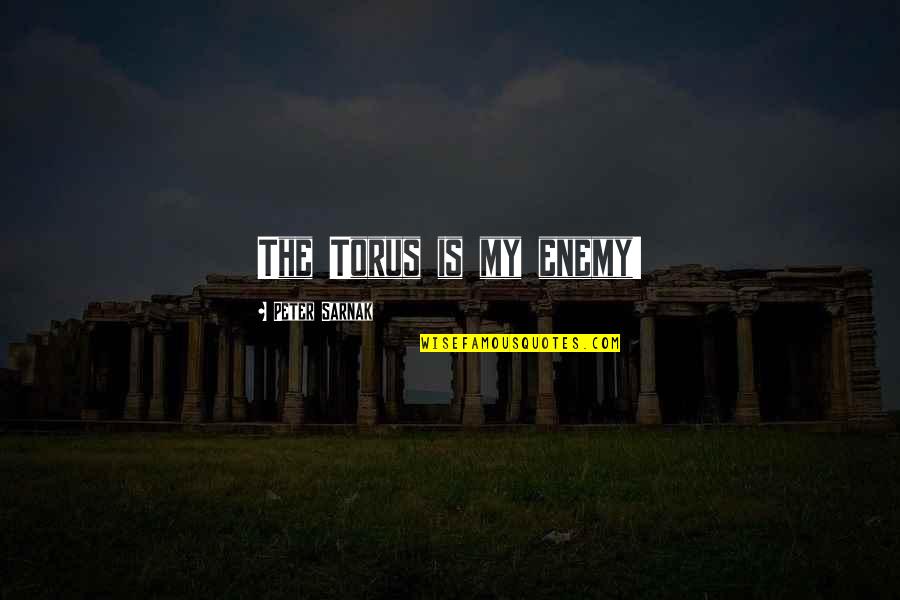 Zamarron Entertainment Quotes By Peter Sarnak: The Torus is my enemy! Zamarron Entertainment Quotes By Peter Sarnak: The Torus is my enemy!