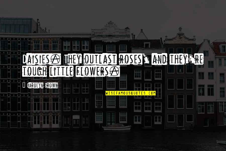 Zambora Quotes By Carolyn Brown: Daisies. They outlast roses, and they're tough little