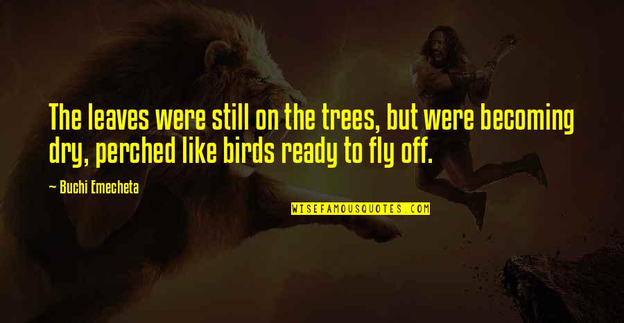 Zammuto It Feels Quotes By Buchi Emecheta: The leaves were still on the trees, but