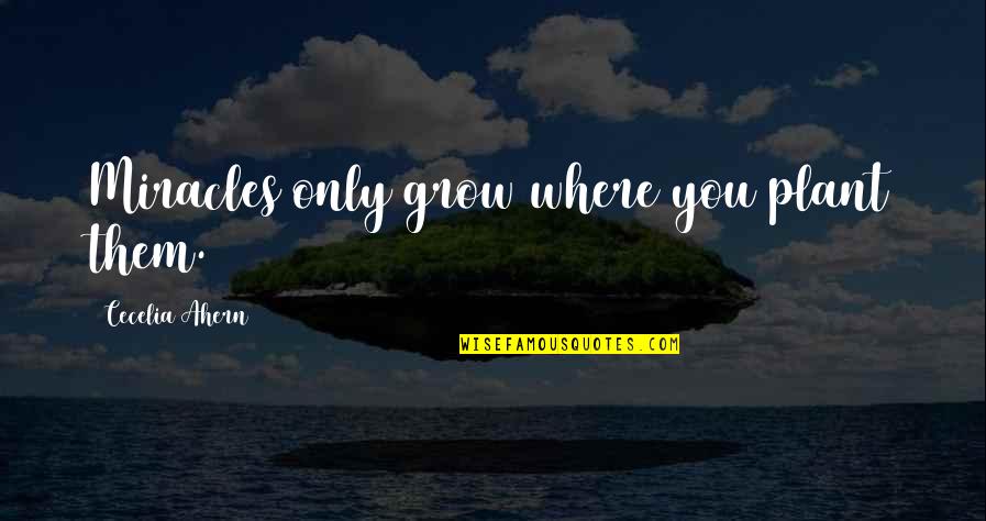 Zampanolide Quotes By Cecelia Ahern: Miracles only grow where you plant them.