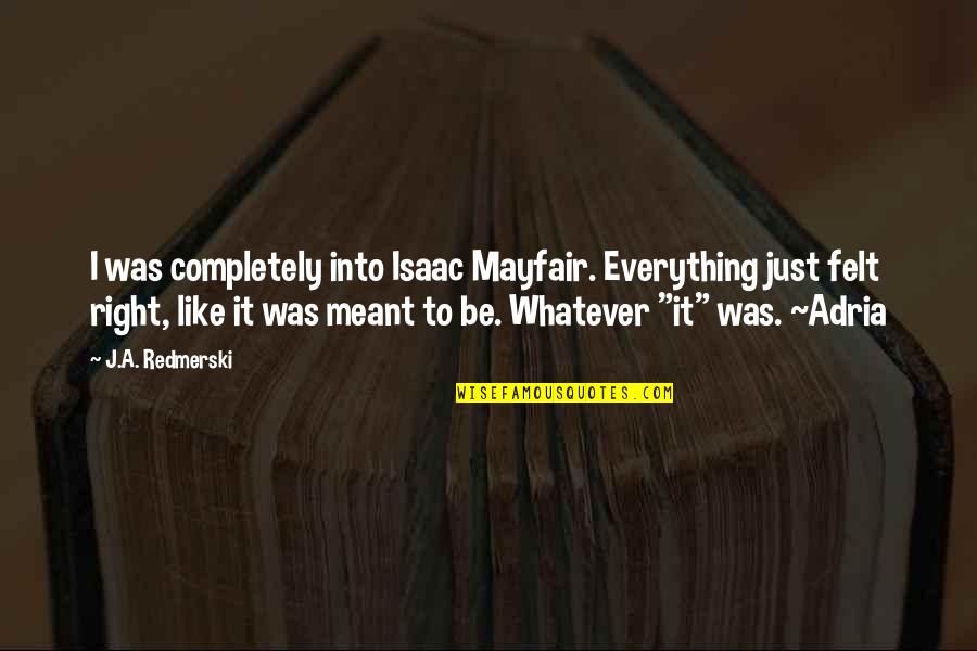 Zandalari Warbringer Quotes By J.A. Redmerski: I was completely into Isaac Mayfair. Everything just Zandalari Warbringer Quotes By J.A. Redmerski: I was completely into Isaac Mayfair. Everything just
