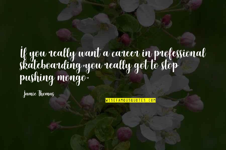 Zandalee 1991 Quotes By Jamie Thomas: If you really want a career in professional Zandalee 1991 Quotes By Jamie Thomas: If you really want a career in professional