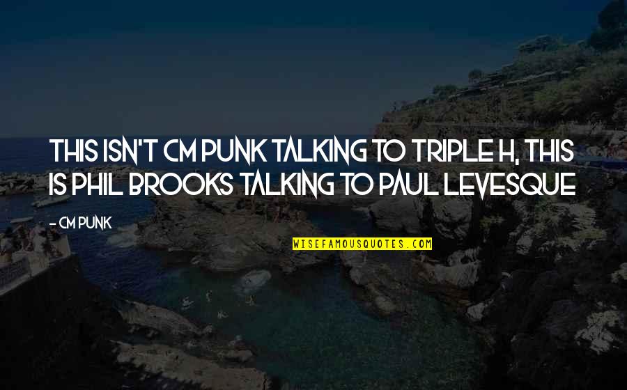 Zandbergen Farms Quotes By CM Punk: This isn't CM Punk talking to Triple H,