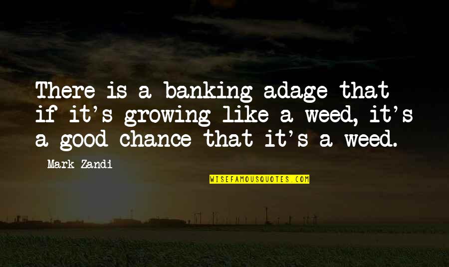 Zandi K Quotes By Mark Zandi: There is a banking adage that if it's Zandi K Quotes By Mark Zandi: There is a banking adage that if it's