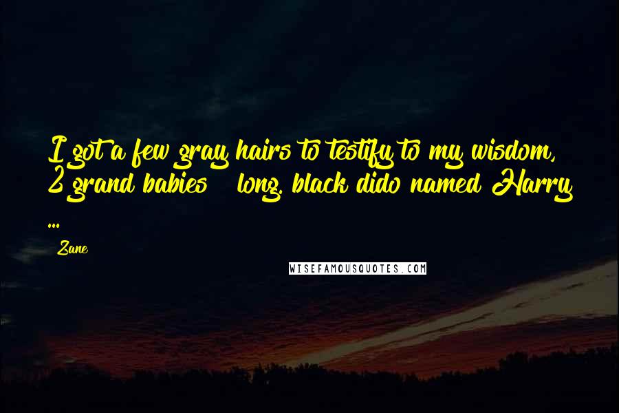 Zane quotes: I got a few gray hairs to testify to my wisdom, 2 grand babies & long. black dido named Harry ...