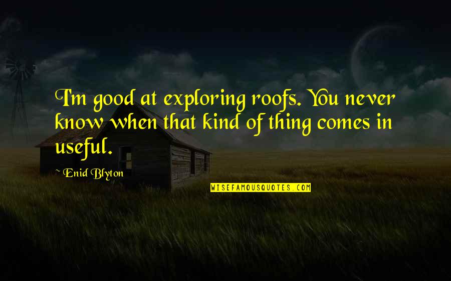 Zanetta Yearby Quotes By Enid Blyton: I'm good at exploring roofs. You never know