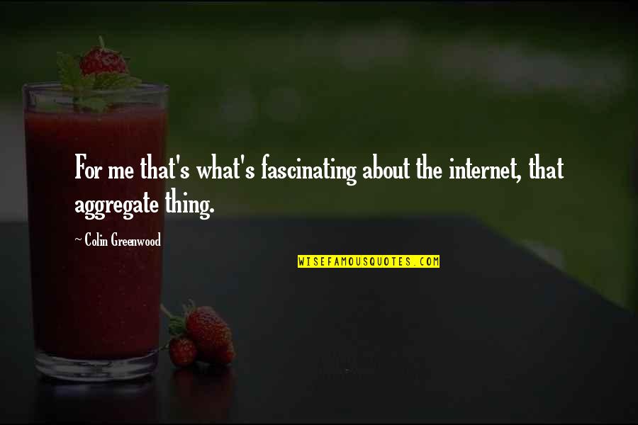 Zaniboni D2 Quotes By Colin Greenwood: For me that's what's fascinating about the internet,