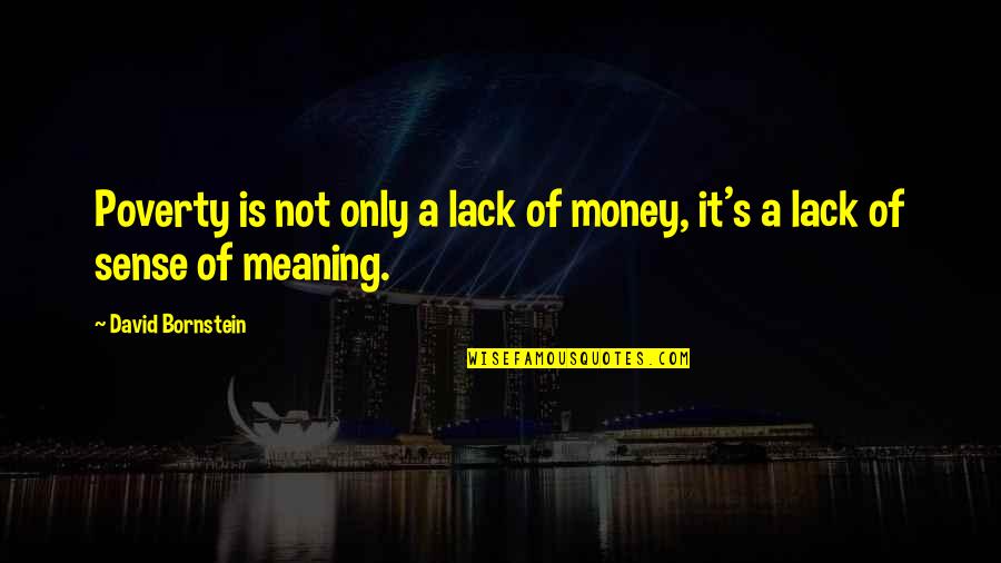 Zanner66 Quotes By David Bornstein: Poverty is not only a lack of money, Zanner66 Quotes By David Bornstein: Poverty is not only a lack of money,