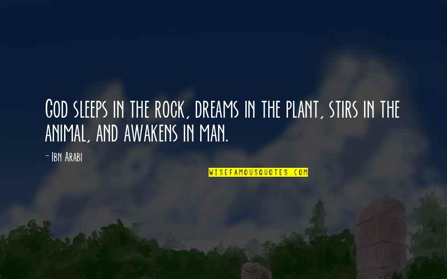 Zannetmek Quotes By Ibn Arabi: God sleeps in the rock, dreams in the
