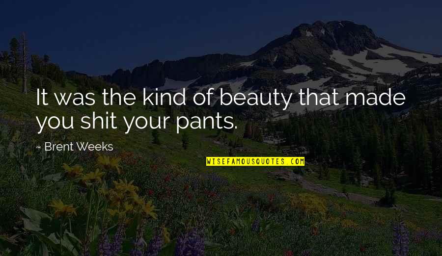 Zanny Bars Quotes By Brent Weeks: It was the kind of beauty that made