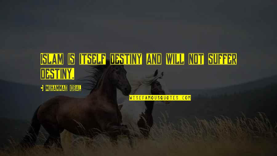 Zanshin Karate Quotes By Muhammad Iqbal: Islam is itself destiny and will not suffer