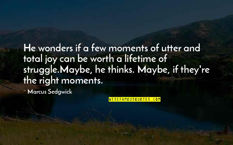 Zapanta Rex Quotes By Marcus Sedgwick: He wonders if a few moments of utter