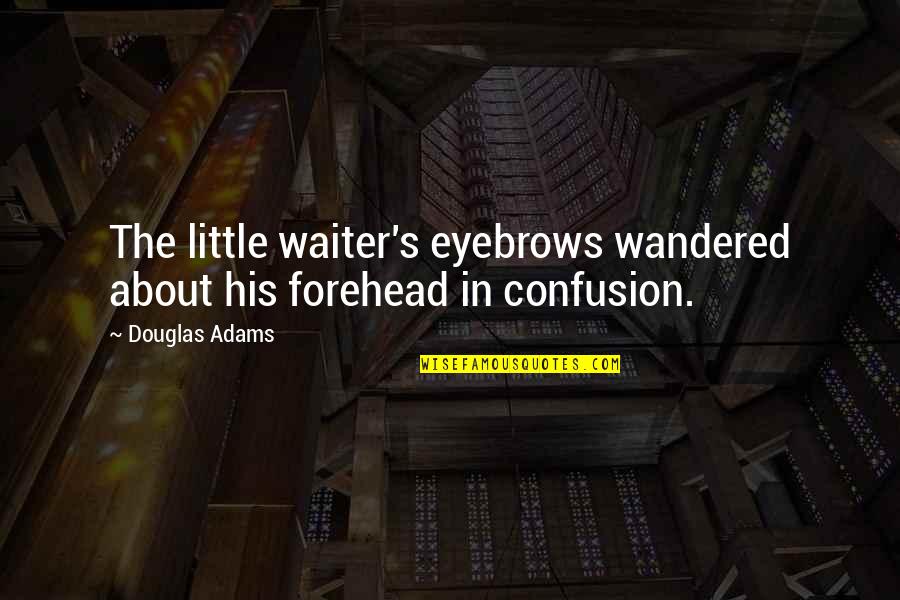 Zaphod Beeblebrox Quotes By Douglas Adams: The little waiter's eyebrows wandered about his forehead