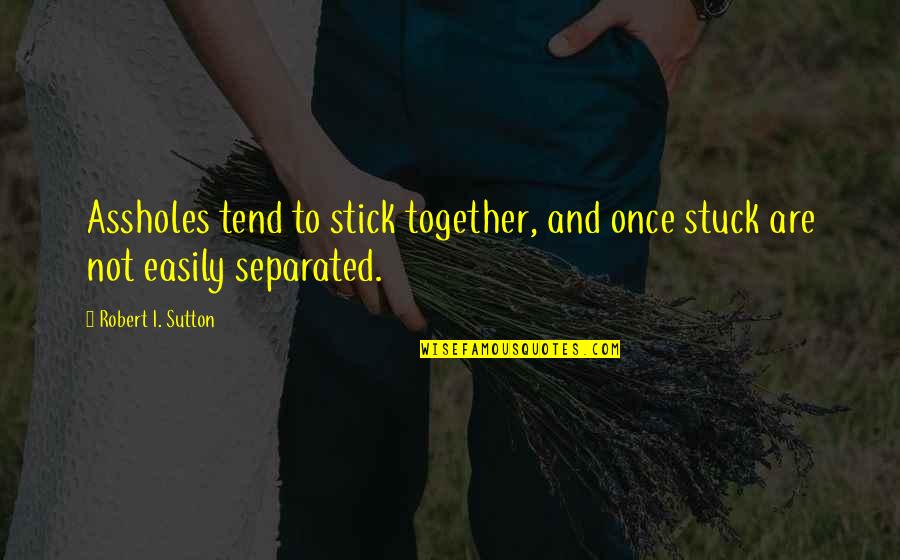 Zappala Da Quotes By Robert I. Sutton: Assholes tend to stick together, and once stuck