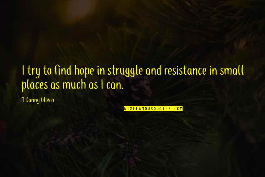 Zappone Chrysler Quotes By Danny Glover: I try to find hope in struggle and