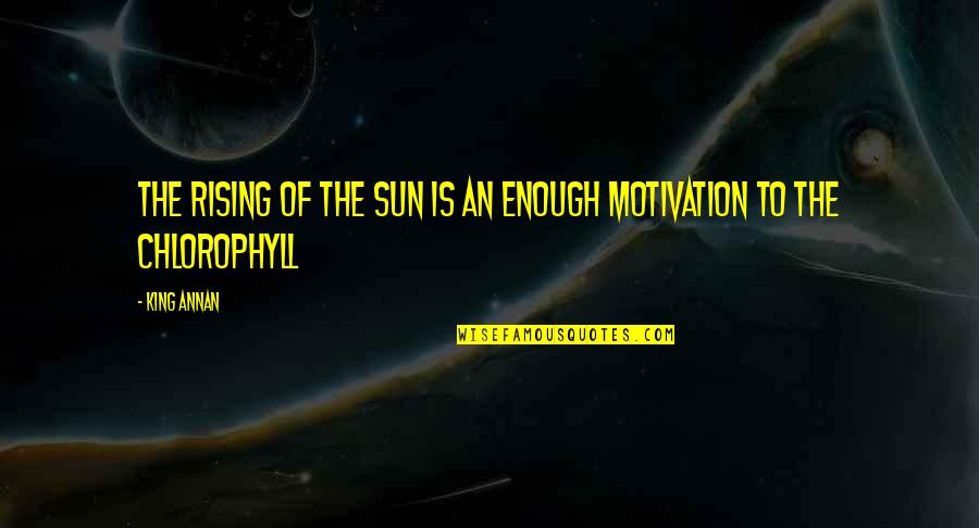 Zapri Zapri Quotes By King Annan: The rising of the sun is an enough