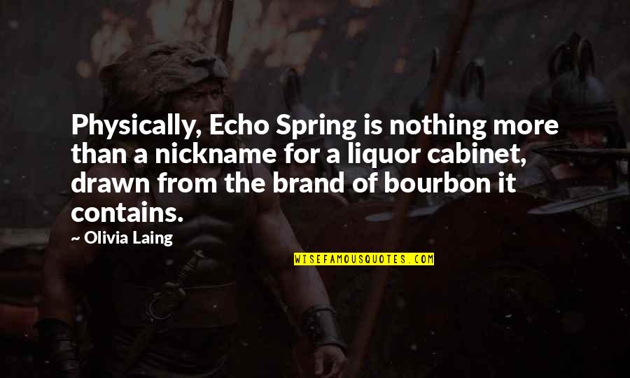 Zapri Zapri Quotes By Olivia Laing: Physically, Echo Spring is nothing more than a