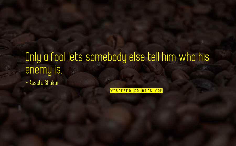 Zapruders Vonage Quotes By Assata Shakur: Only a fool lets somebody else tell him Zapruders Vonage Quotes By Assata Shakur: Only a fool lets somebody else tell him
