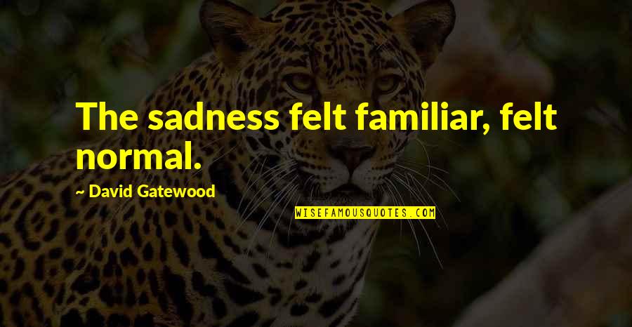 Zaratustra Biografia Quotes By David Gatewood: The sadness felt familiar, felt normal.