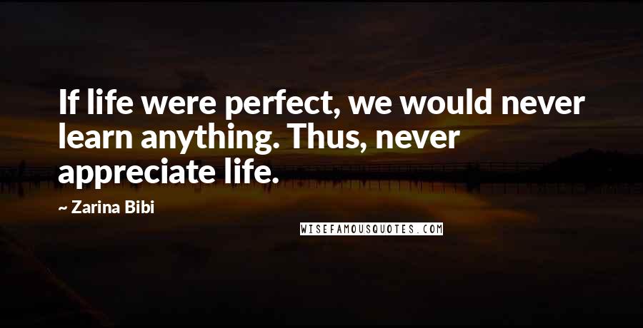 Zarina Bibi quotes: If life were perfect, we would never learn anything. Thus, never appreciate life.