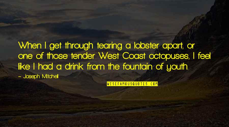 Zarkova Quotes By Joseph Mitchell: When I get through tearing a lobster apart, Zarkova Quotes By Joseph Mitchell: When I get through tearing a lobster apart,