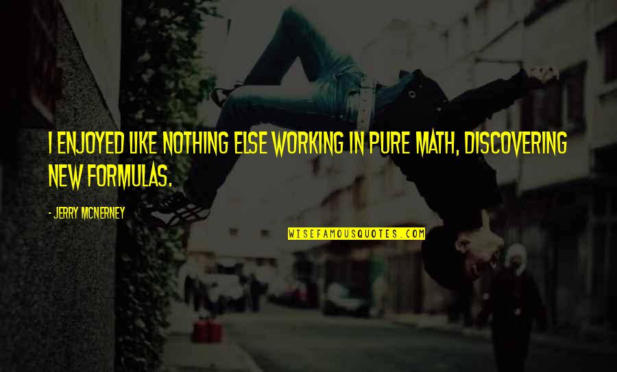 Zastone Quotes By Jerry McNerney: I enjoyed like nothing else working in pure