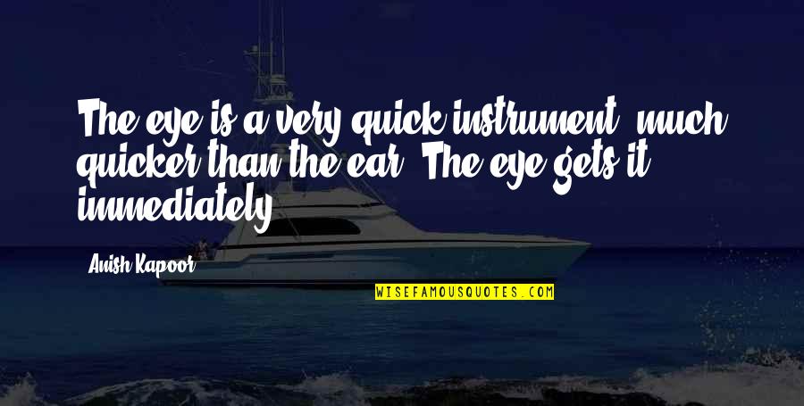 Zatvoreni Sistem Quotes By Anish Kapoor: The eye is a very quick instrument, much