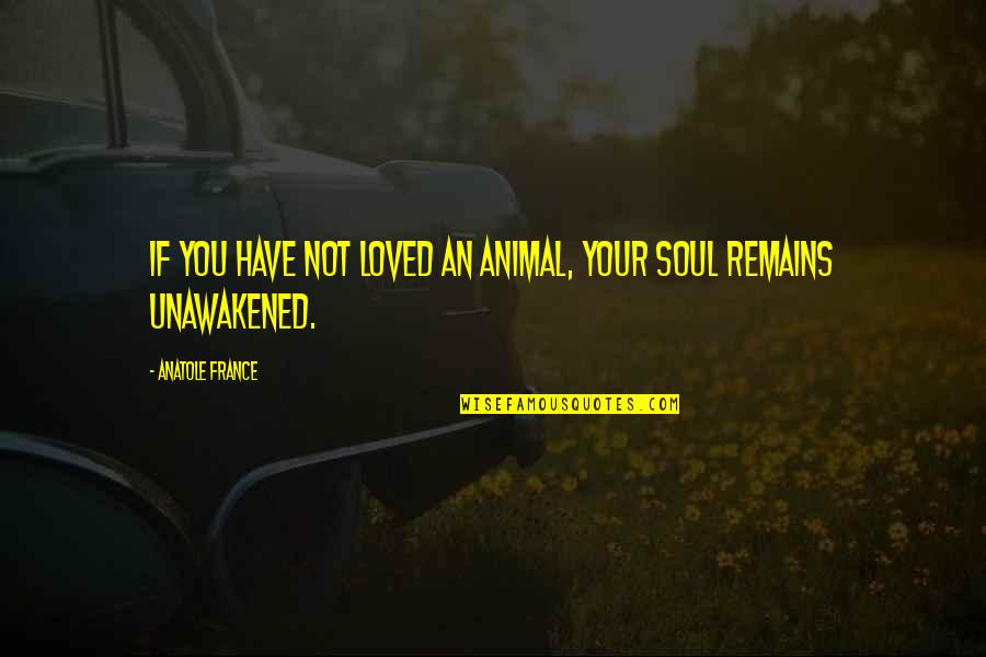 Zauvijek Moja Quotes By Anatole France: If you have not loved an animal, your Zauvijek Moja Quotes By Anatole France: If you have not loved an animal, your