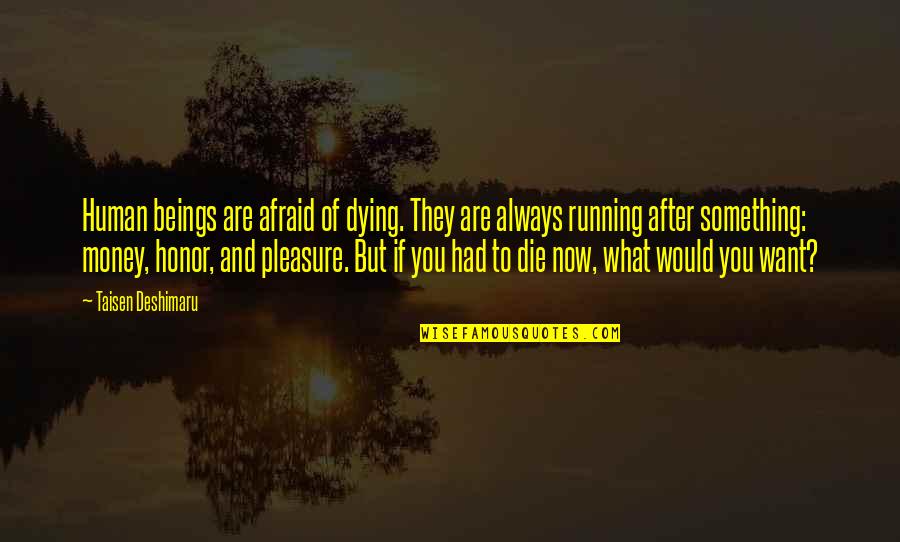 Zazie Beets Quotes By Taisen Deshimaru: Human beings are afraid of dying. They are Zazie Beets Quotes By Taisen Deshimaru: Human beings are afraid of dying. They are