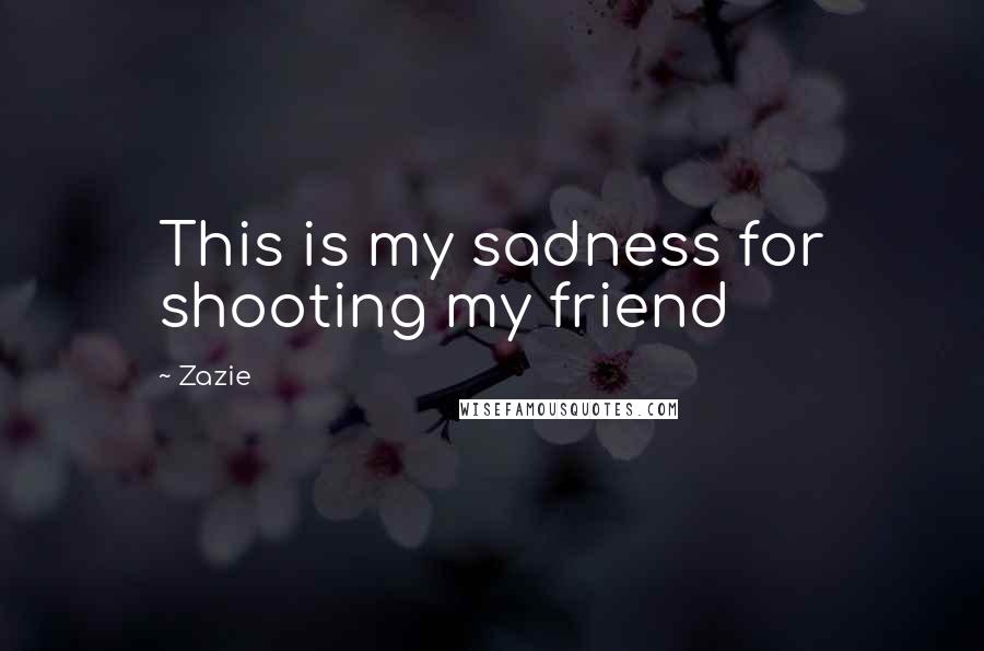 Zazie quotes: This is my sadness for shooting my friend