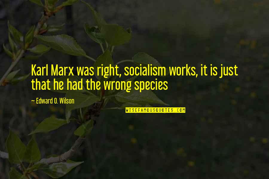 Zbeng Quotes By Edward O. Wilson: Karl Marx was right, socialism works, it is